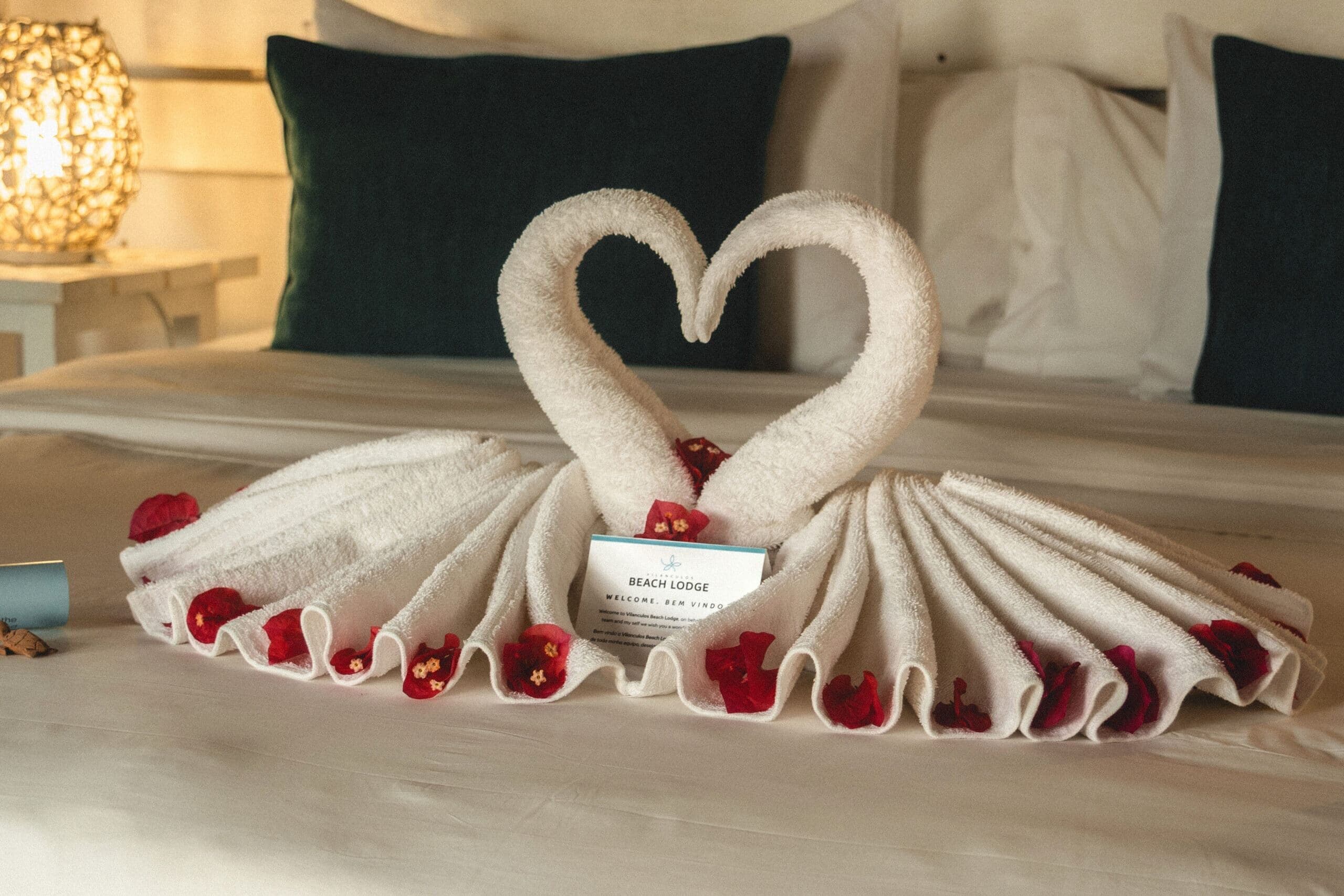 Vilanculos Beach Lodge marketing photo 22